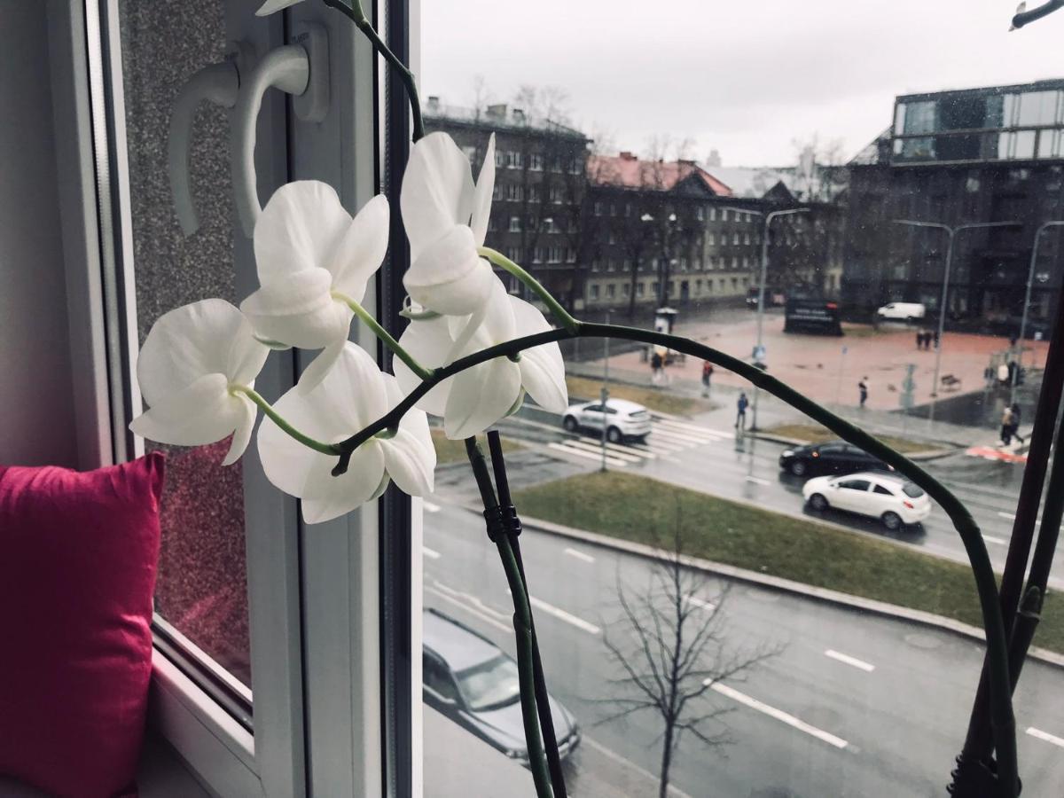 Cozy Central Apartment Tallinn Luaran gambar